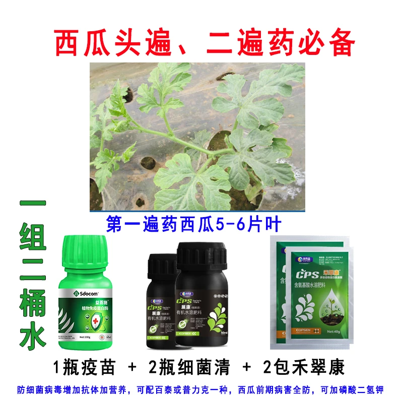 西瓜头遍二遍药防真菌细菌病毒出瓜妞出瓜胎