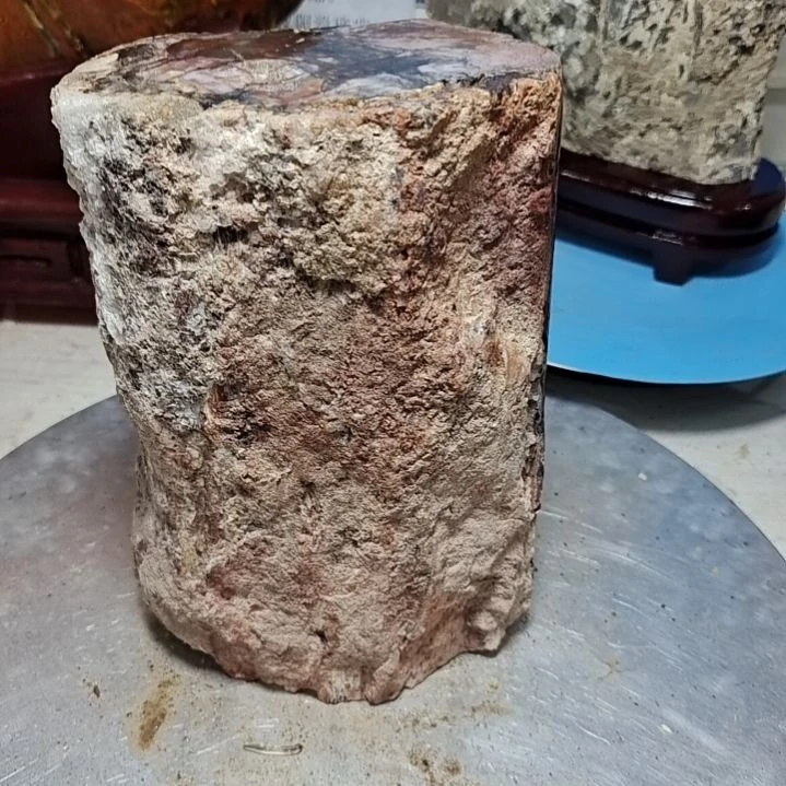 F***.石材新疆奇台硅化木 木化石，树化石，树化玉。