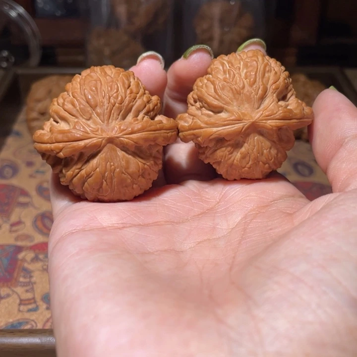 核桃手串/手链41白狮子