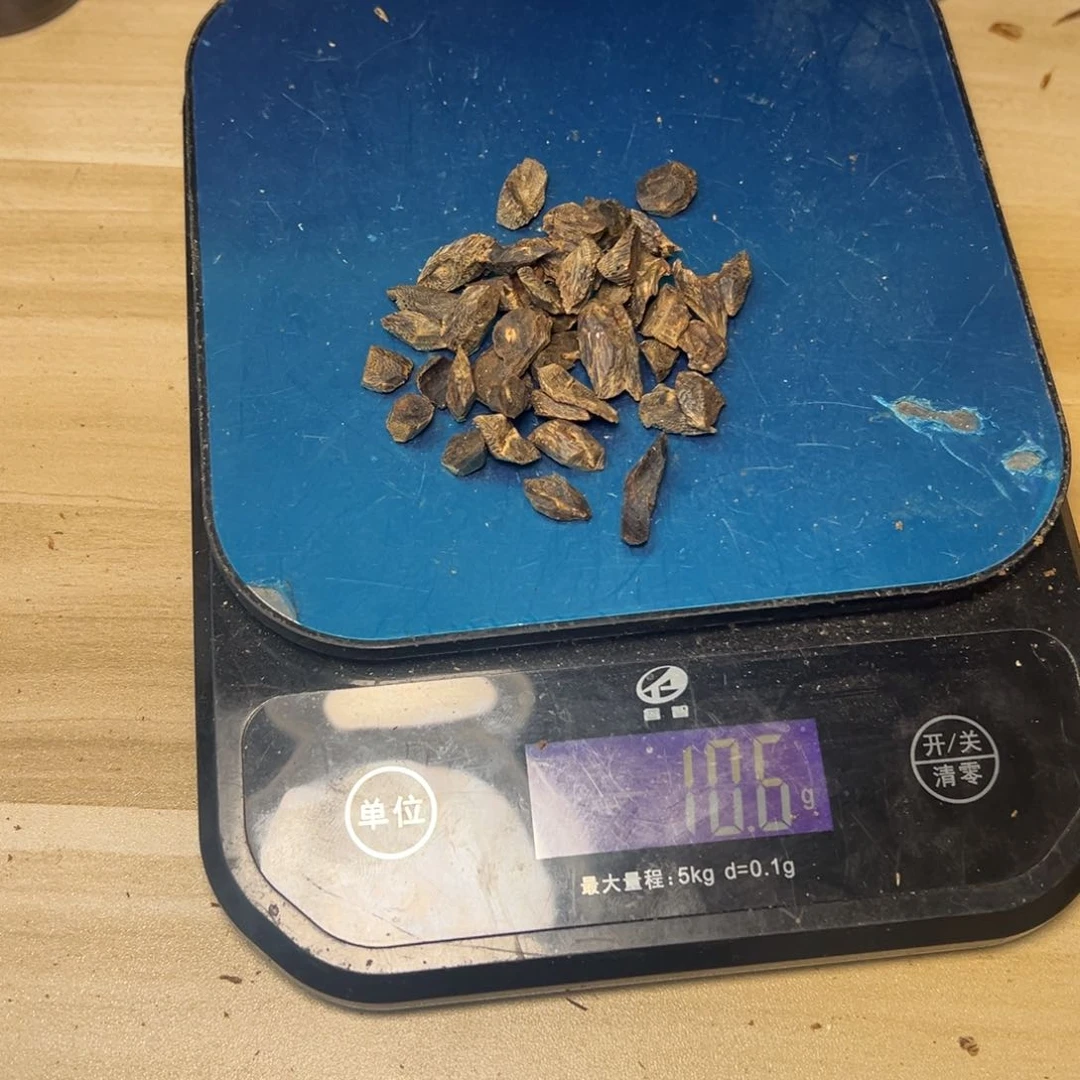 树脂制品丹海南白鹭天然沉水树丁留疤料10克