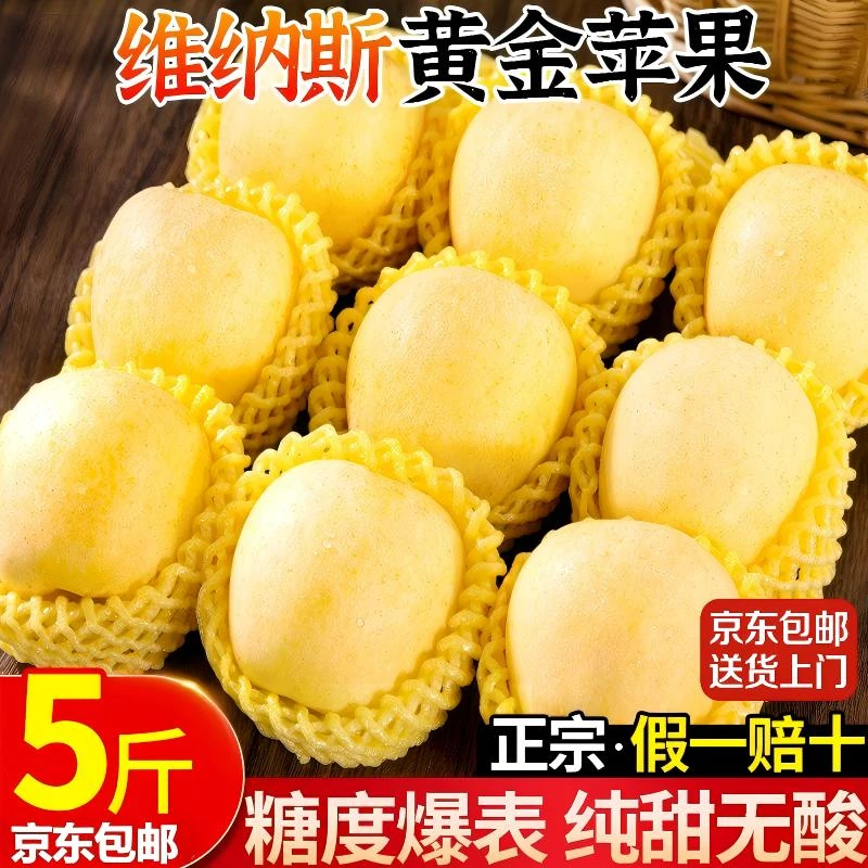 正宗黄金维纳斯苹果5斤大果烟台产地直发当季新鲜水果精品冰糖心