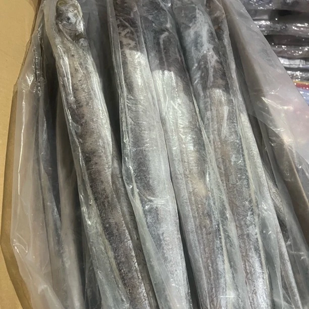 （5斤净重）单条单套袋AA带鱼深海捕捞中刀（有掉鳞）