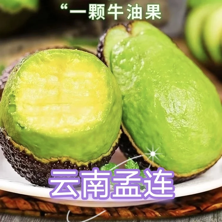 【云南孟连】云南高山哈斯牛油果新鲜当季水果宝宝辅食代餐国产鳄梨