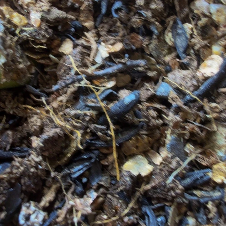 土土土土土土土土