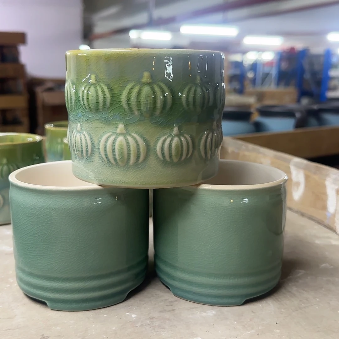 3个福利局绿植多肉盆［凑9元包邮24小时发］