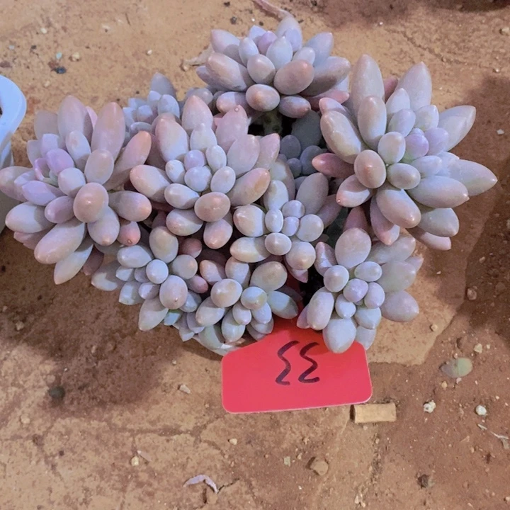 我在开会的地方给