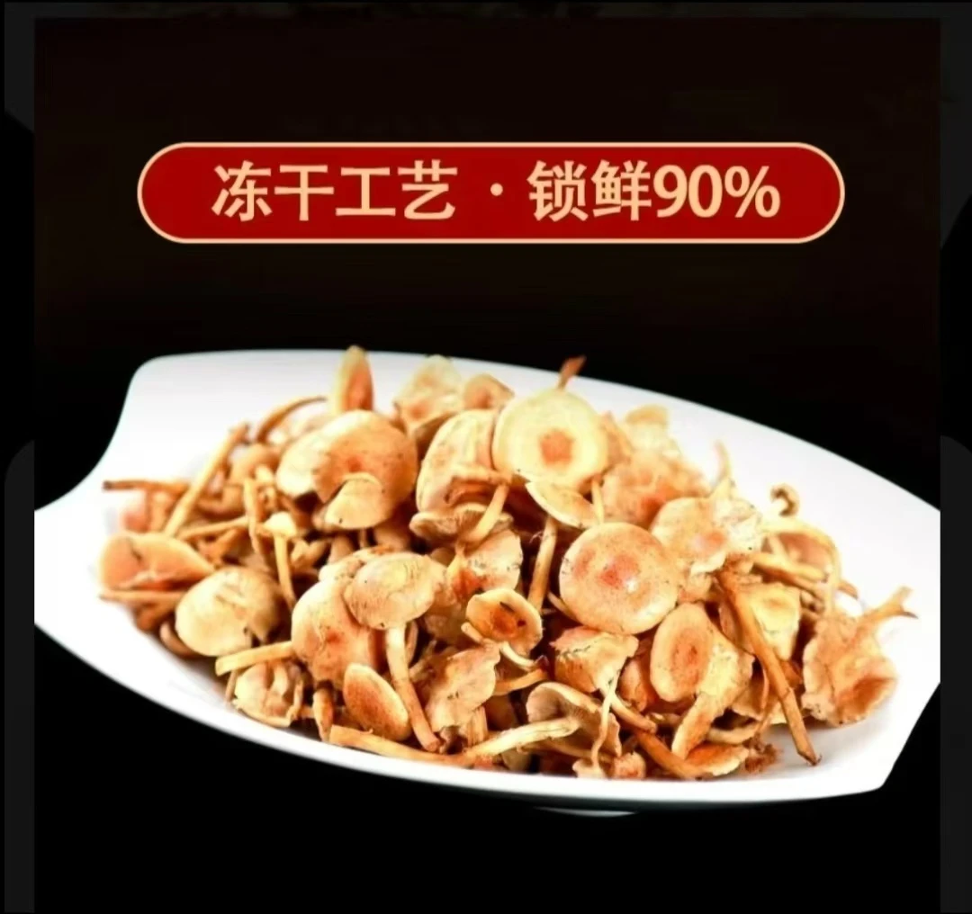 洞庭芦菇黄金芦菌冻干易泡发