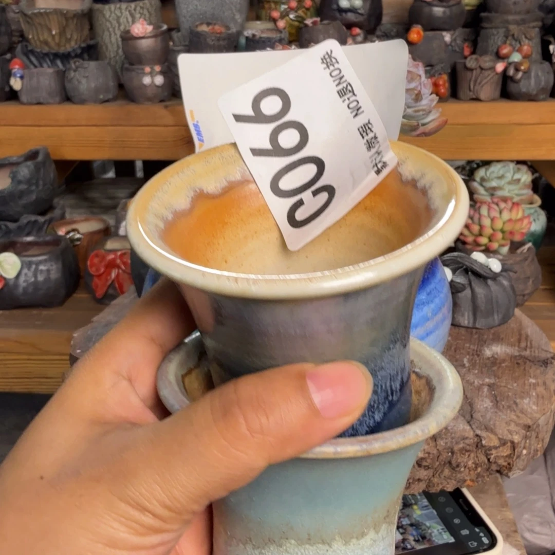 重庆小燕子欢迎大家066