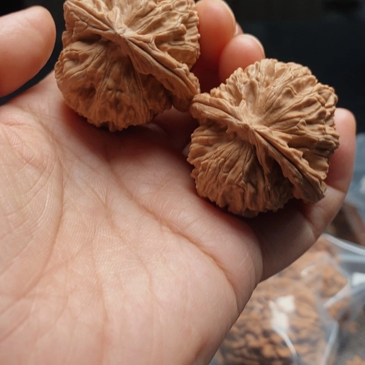 把件文玩核桃白狮子38尺