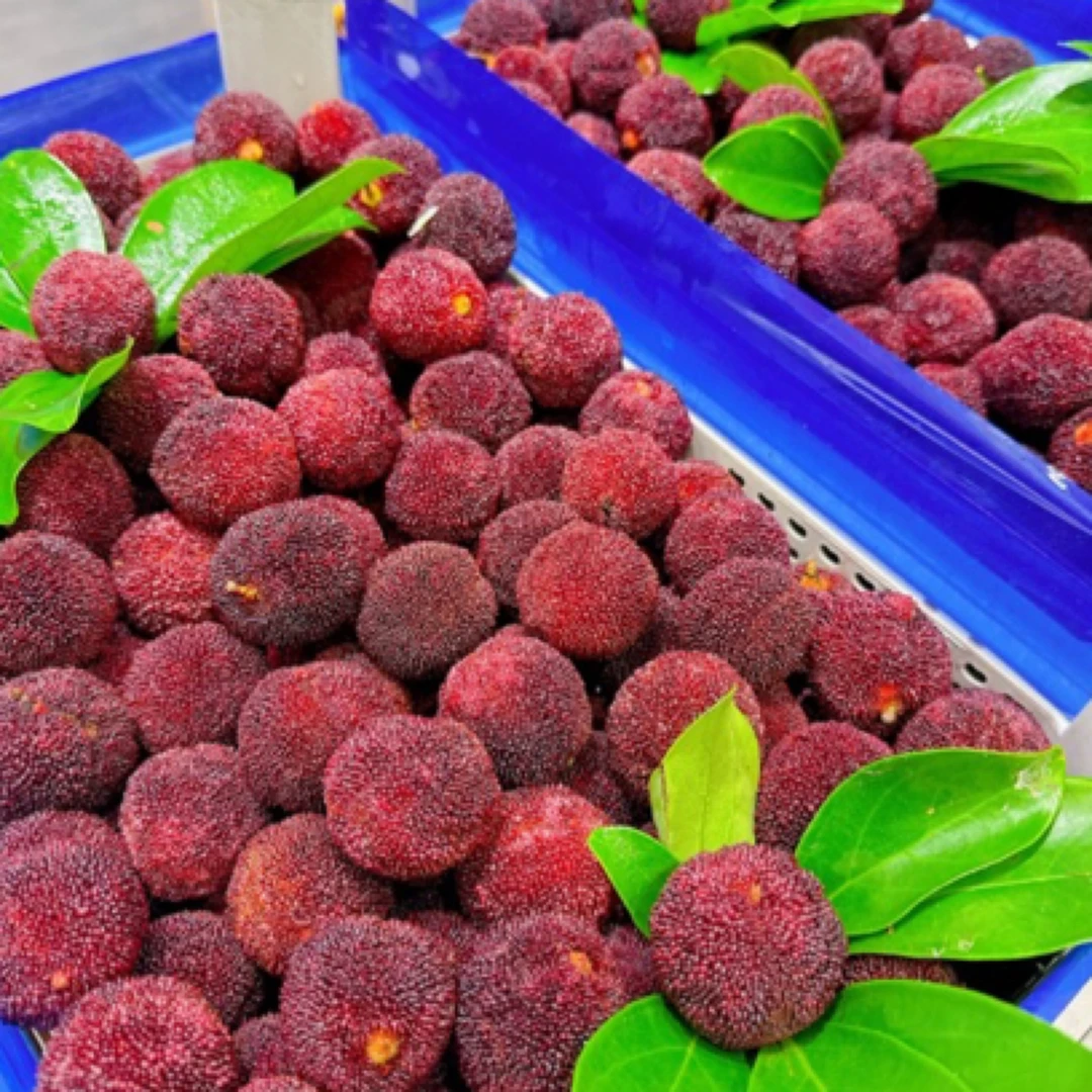 东魁大杨梅一盒2斤（配送到家）新鲜杨梅