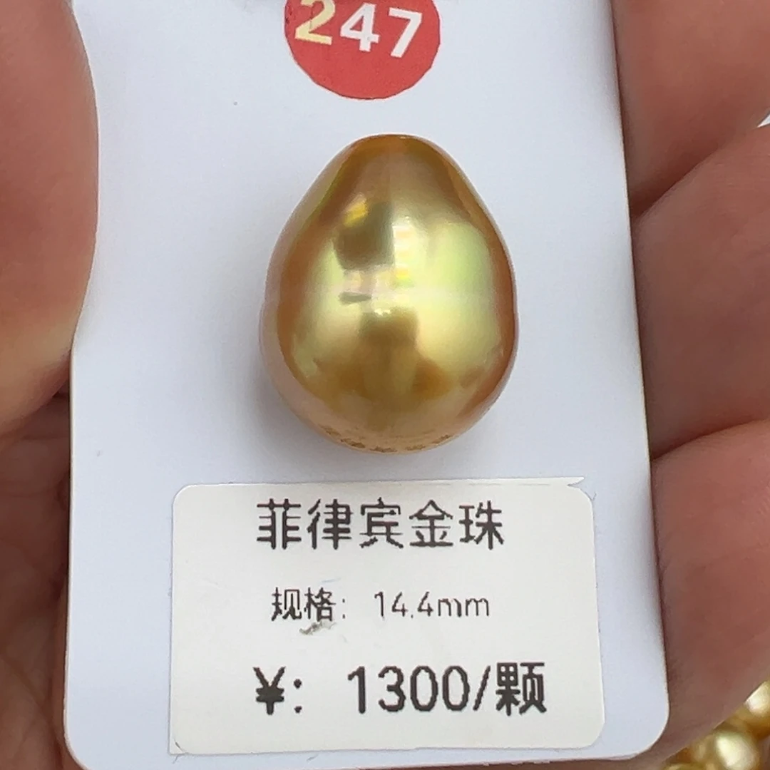 未镶嵌14.4mm金珠海水珍珠
