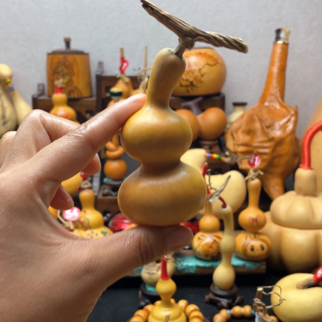 王*跑大自然的秘密第十一节的秘密