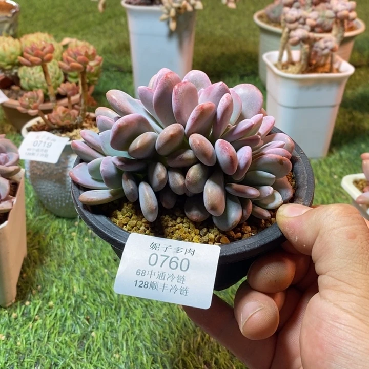 0760啊啊啊啊啊啊啊啊啊啊啊