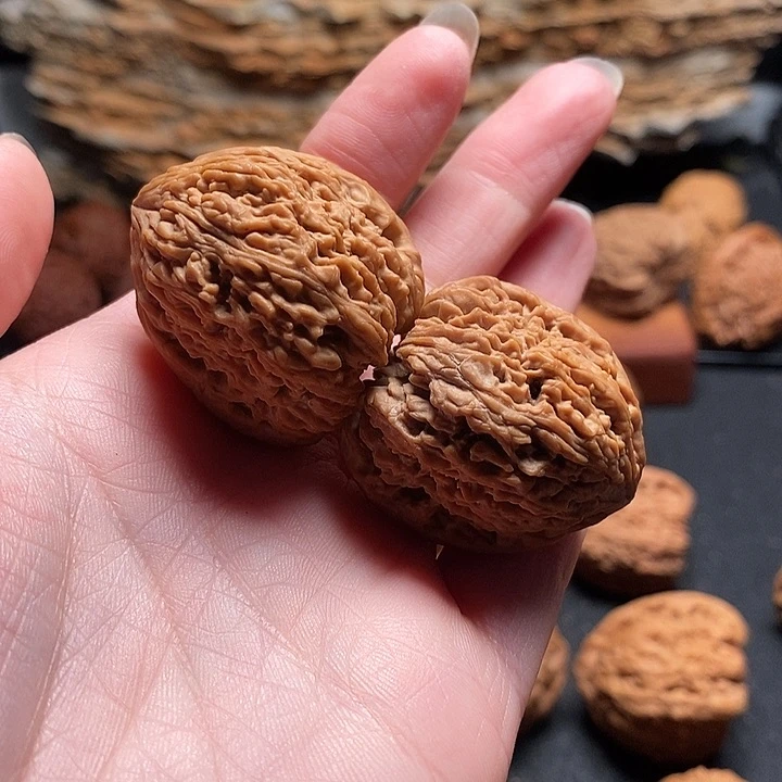 核桃其他L***a32凹底蚂蚁拉丝