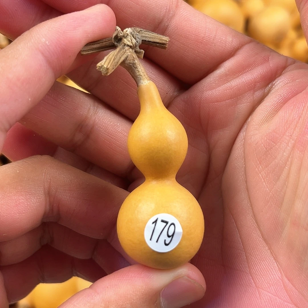 三葫芦葫芦葫芦葫芦 179