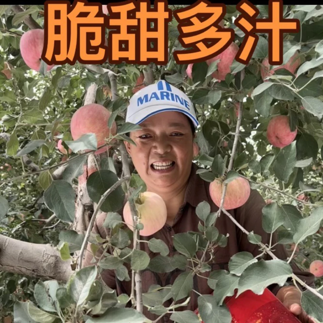 新疆阿克苏早熟红富士脆甜多汁产地直发