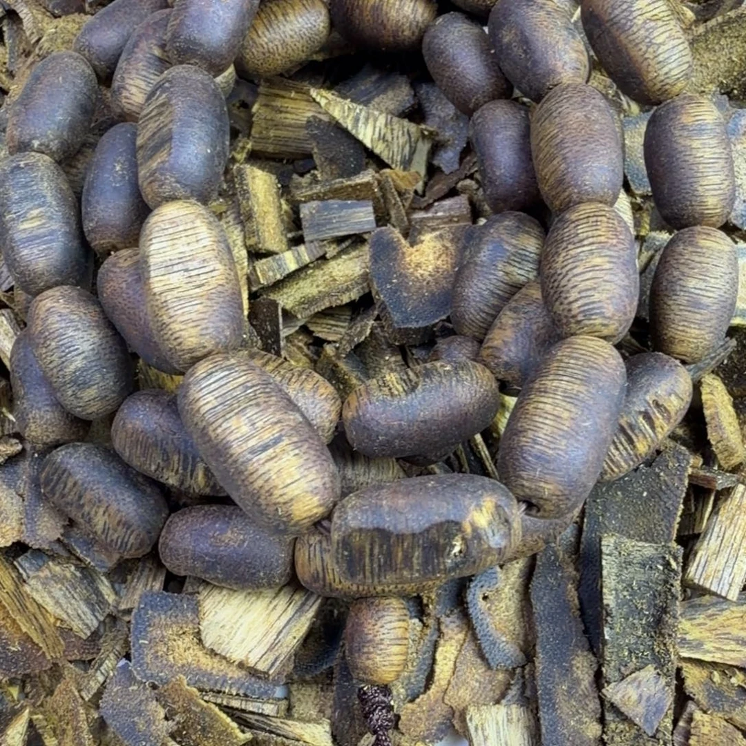 沉香沉香碎屑0.8乌身虫漏留疤多圈24