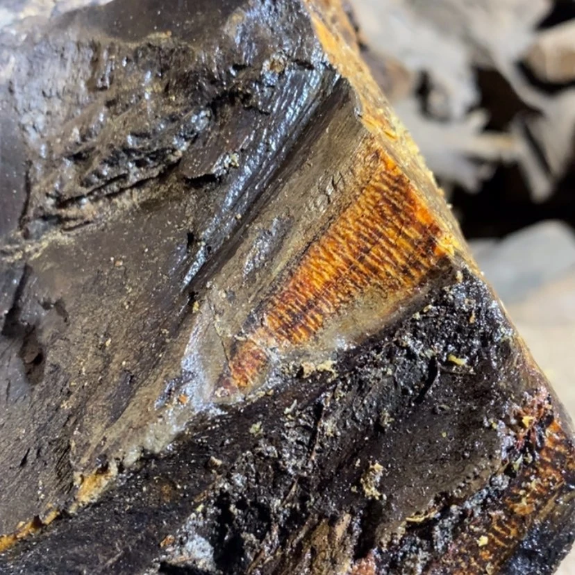 【闪购商品】手串贡木倚****。私人订制