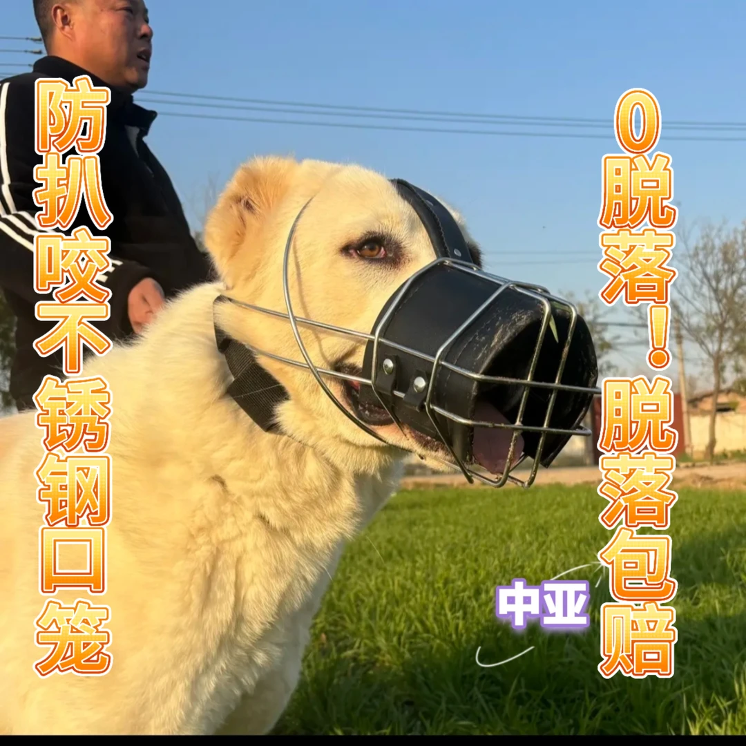 中亚不锈钢狗嘴套防咬防乱吃可饮水大中型犬工作犬宠物口笼嘴罩