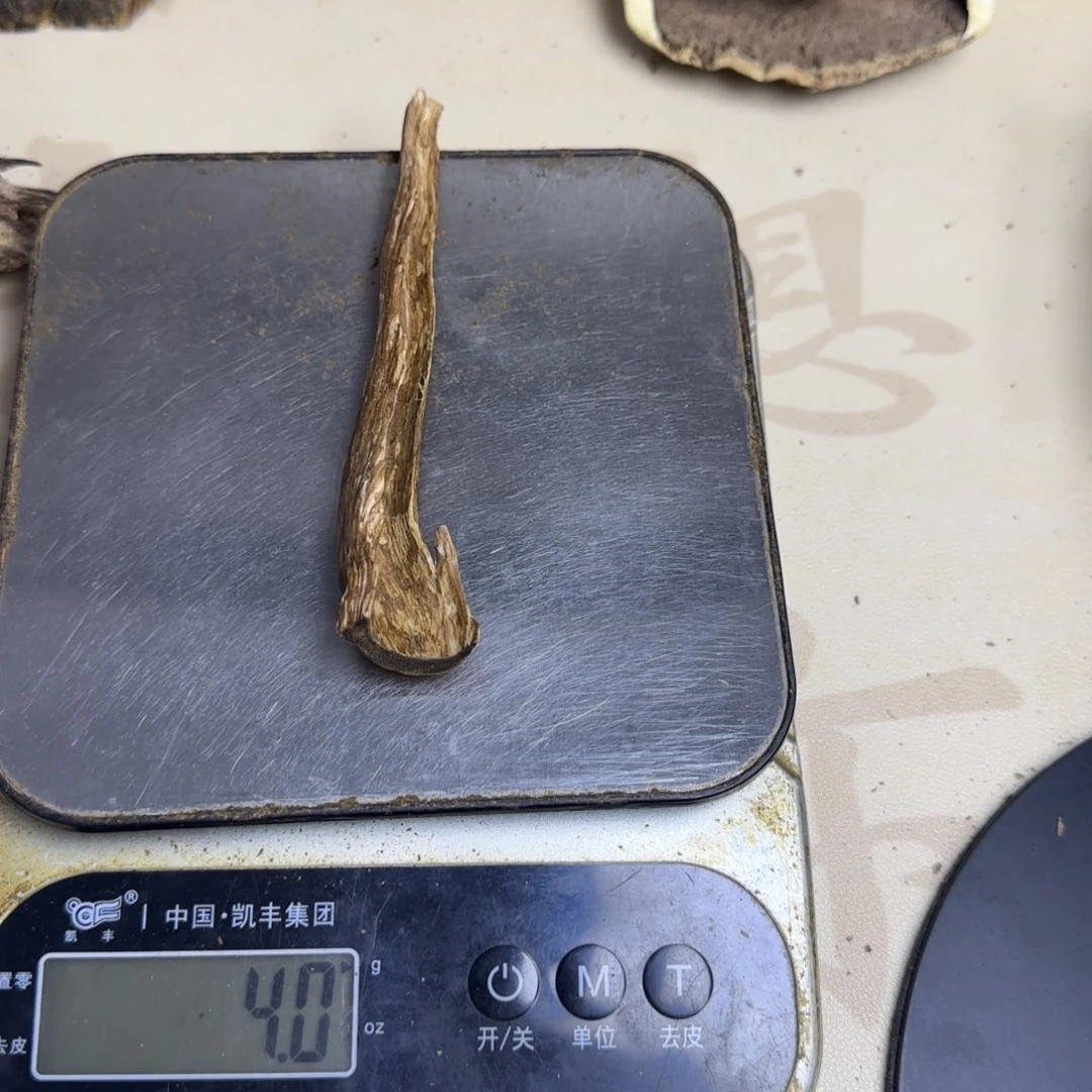 沉香碎屑沉香红土树根4克
