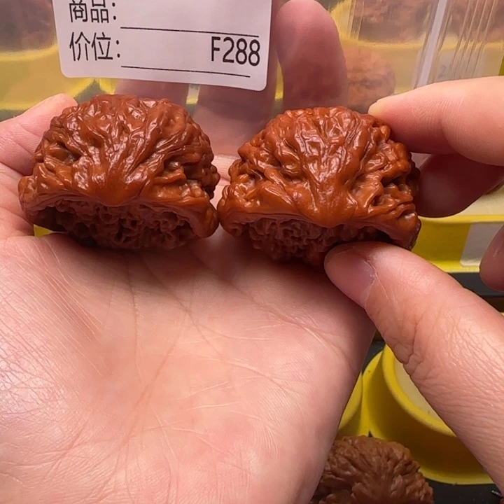 大叶紫檀（黑酸枝木类）蛇王43