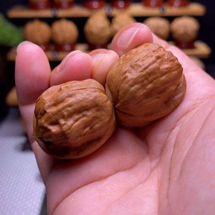 核桃云铁甲壳虫28号