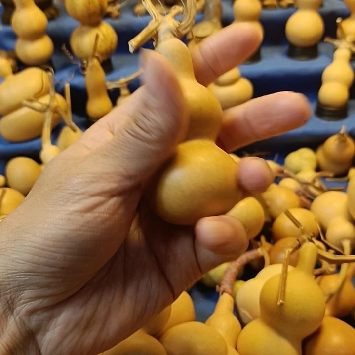 直播间专供链接葫芦，