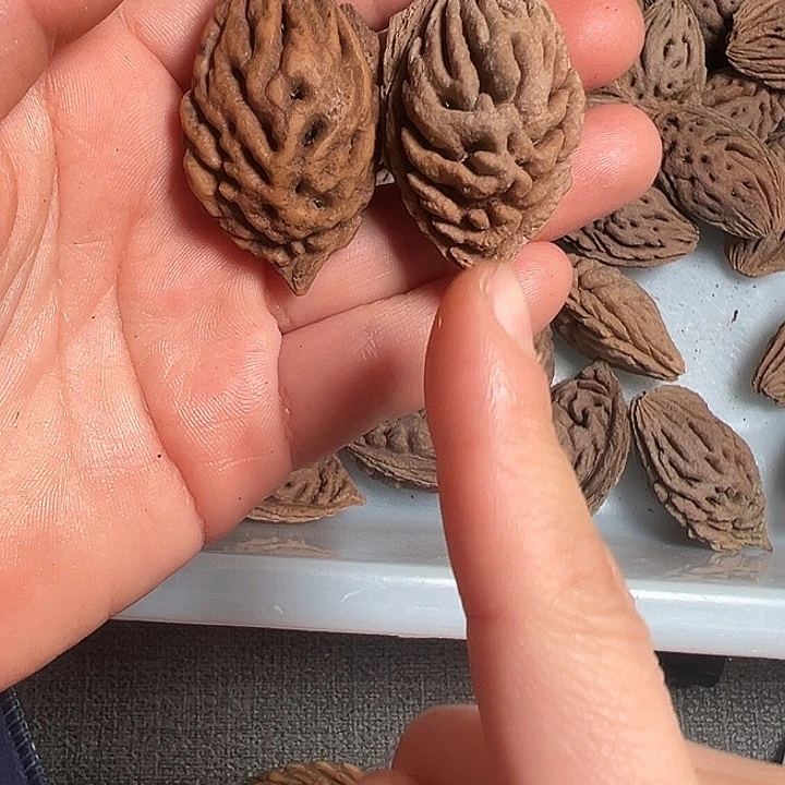 天***涯桃核手串正宗桃枭单核