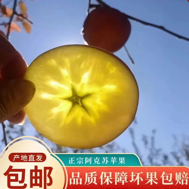 京东包邮 阿克苏冰糖心苹果新疆产生直发新鲜应季