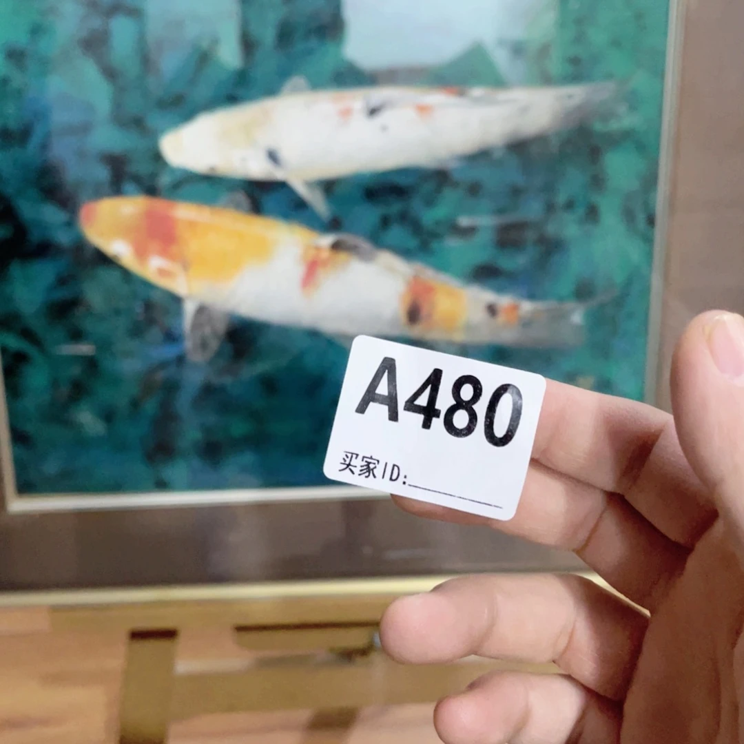 八***海工艺品美术工艺品美术