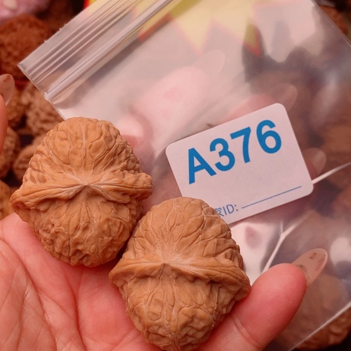 南瓜40尺376号123
