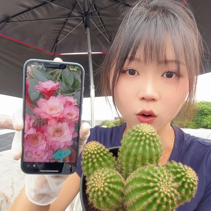 奈何之花群大号111111111