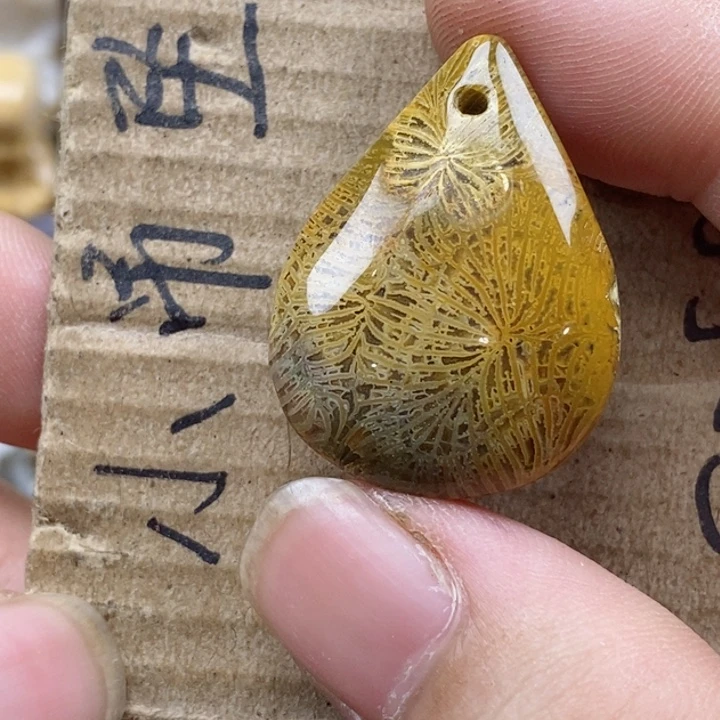 颈饰未镶嵌硅化珊瑚（珊瑚玉）多*