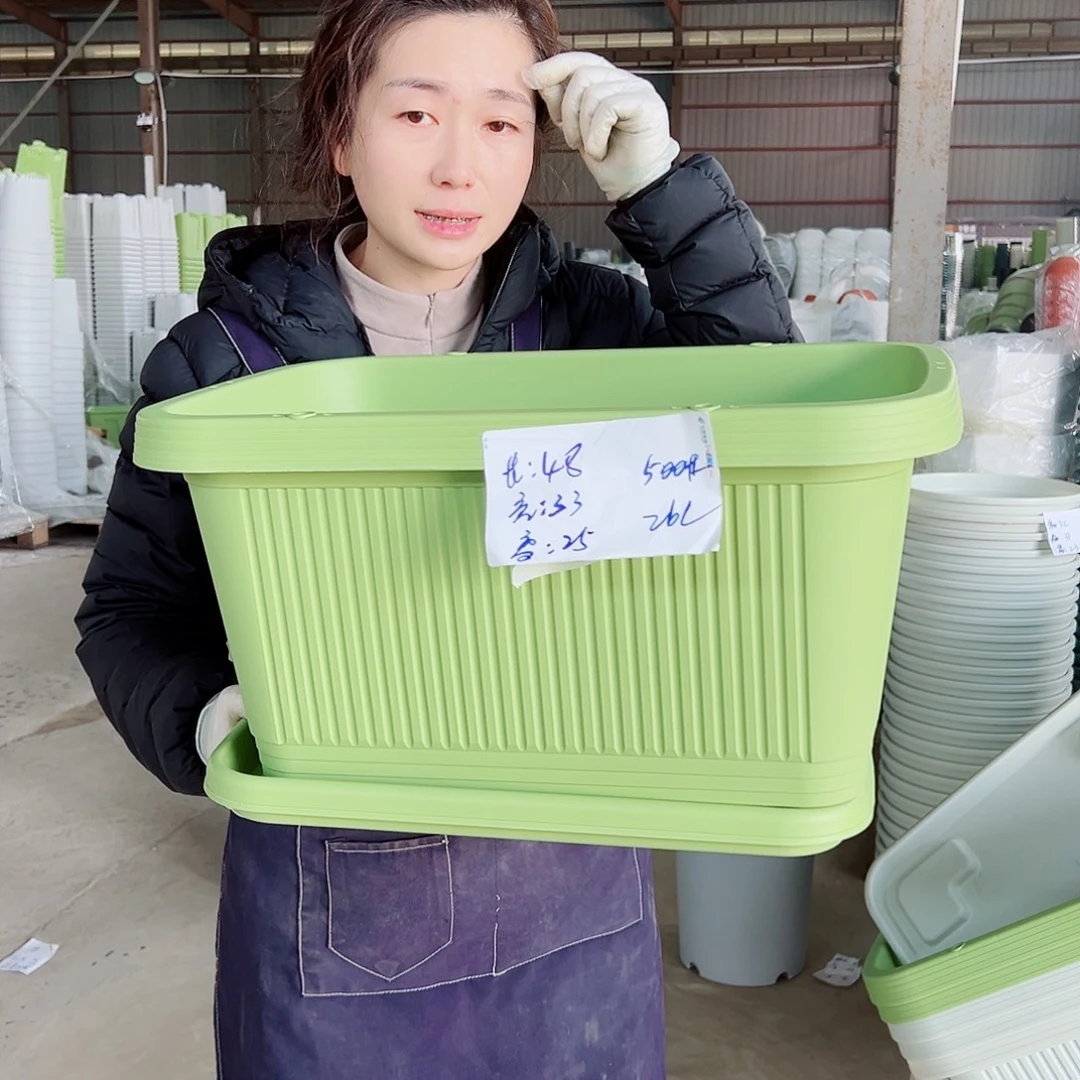 菜盆500#果绿（3套含托）