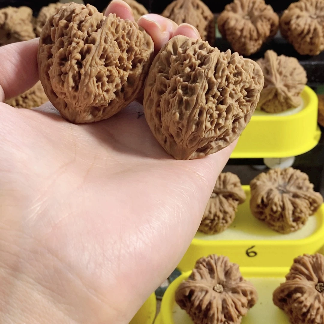 木质类43尺凹的53克