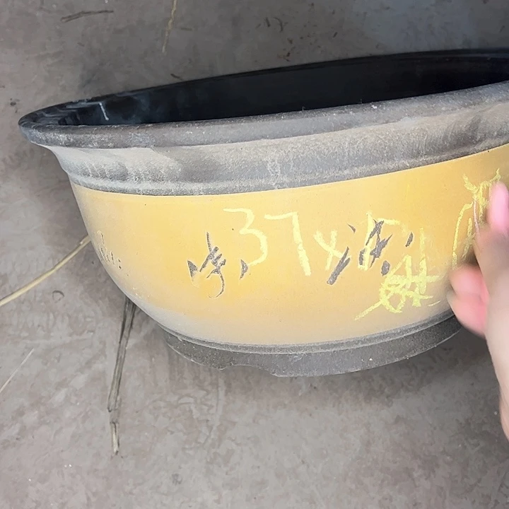 红陶紫砂艺术学院