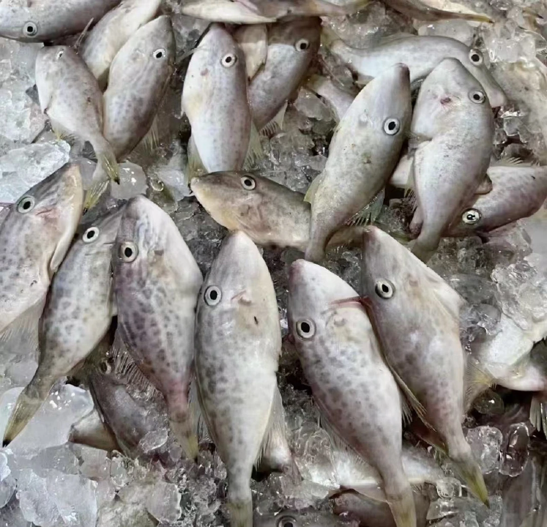 6y.【样样好】精选海鲜海鱼套餐14