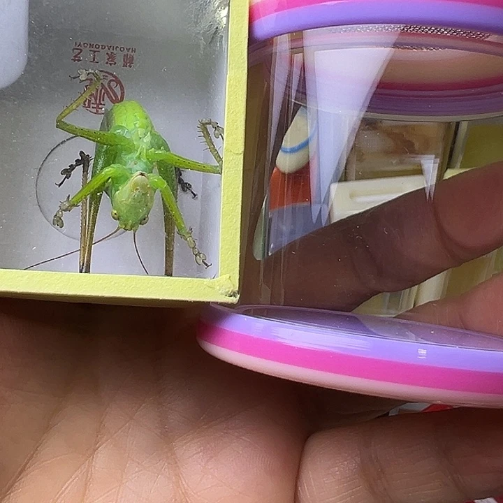 弄***哥哈哈哈哈哈哈哈哈哈哈