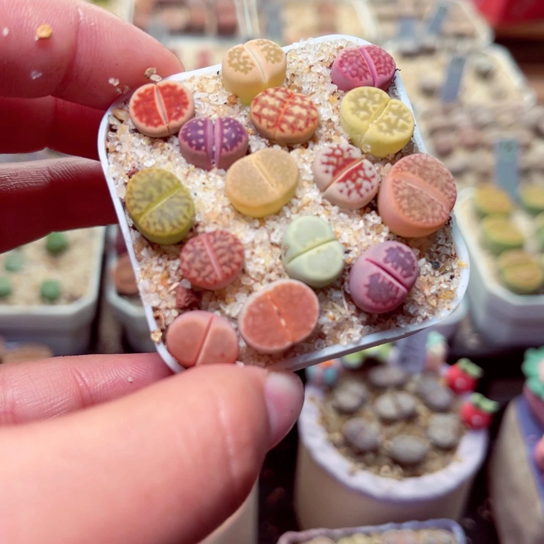 148号带盆盆包邮发货