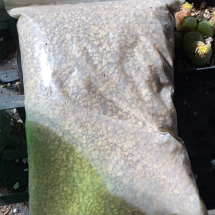 硅藻铺土石一袋。