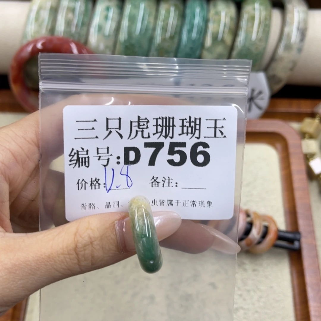 第***主硅化珊瑚（珊瑚玉）未镶嵌h