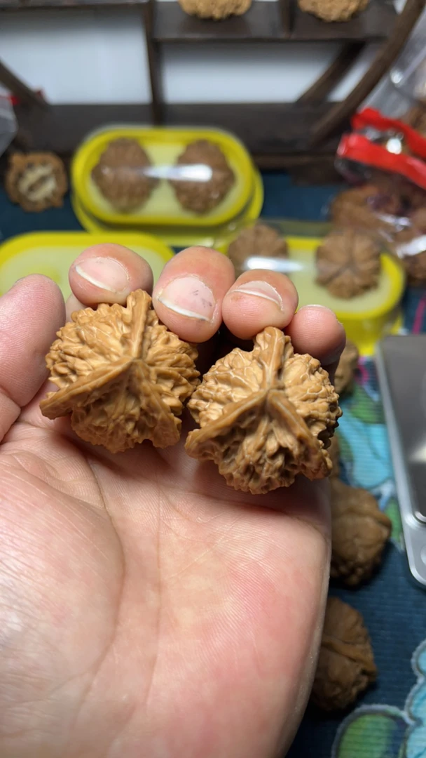 野生全品盘山三棱