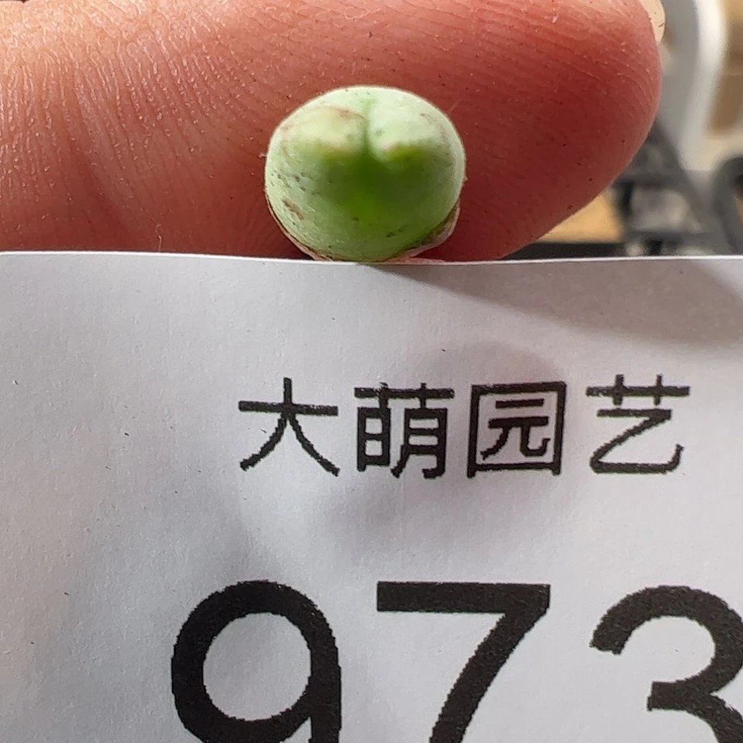 0000973 一物一拍……