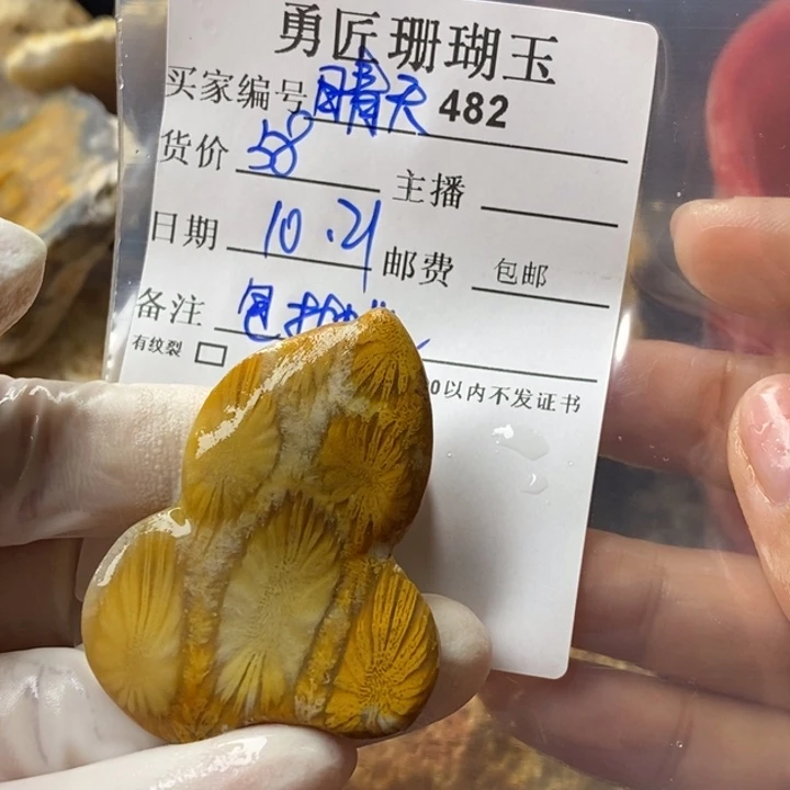 【闪购商品】未镶嵌珊瑚玉硅化玉今****天