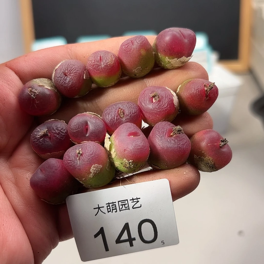 0000140量拍以下5颗