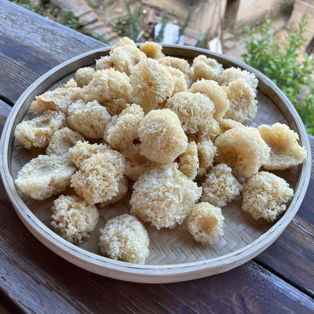 高山 农家 椴木小银耳