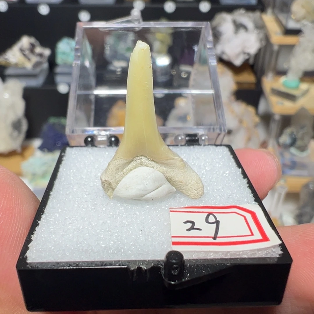 紫晶银S925镶嵌大型摆件（非配饰）