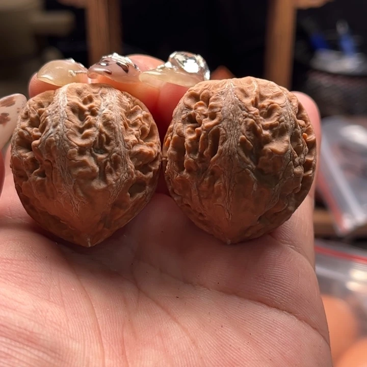 文玩核桃把件楸大胖28