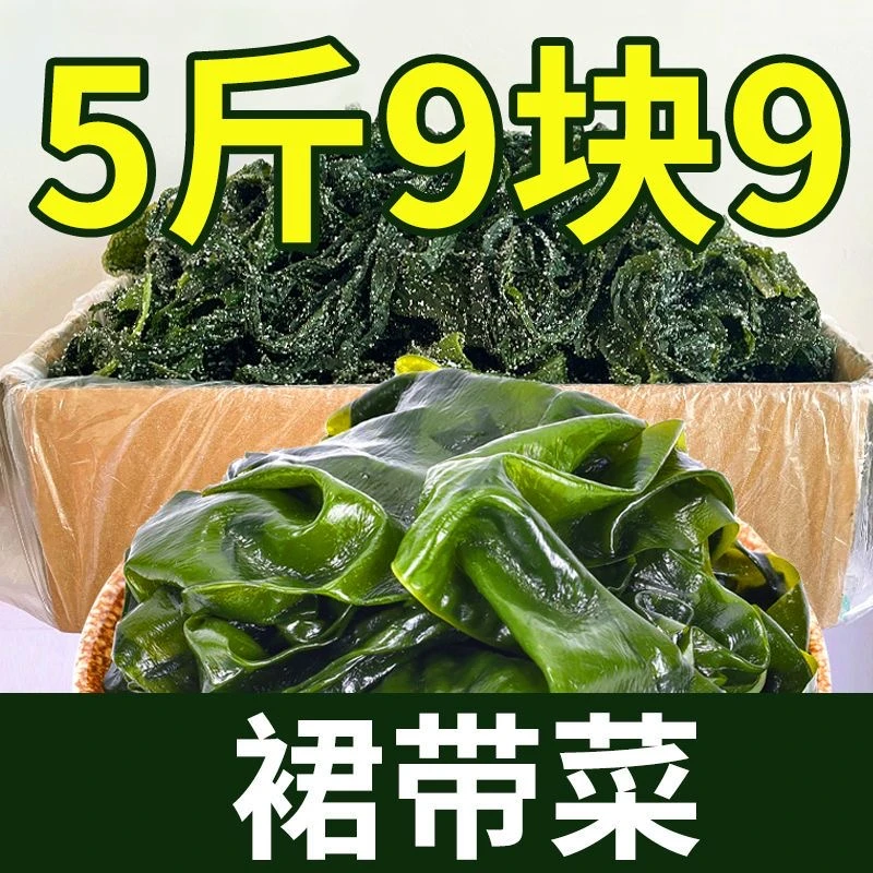 少盐5斤裙带菜叶大连特产新鲜盐渍裙带菜鲜嫩整叶火锅食材海带苗