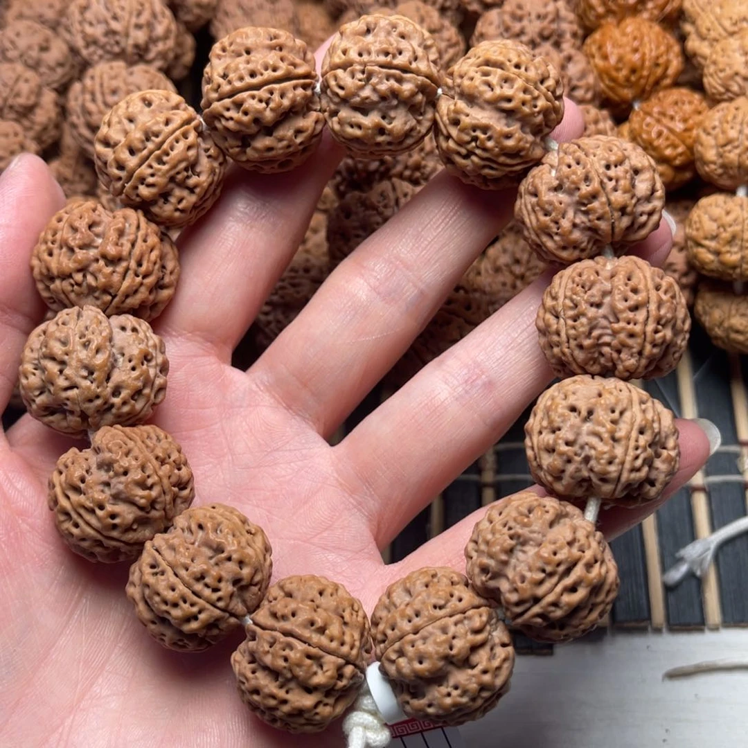 菩提鲁*西26号金刚菩提梁梅花23